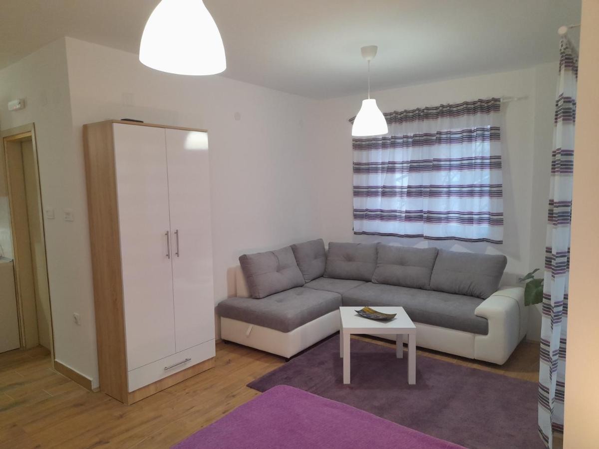 V & V Studio Apartments Ниш Екстер'єр фото