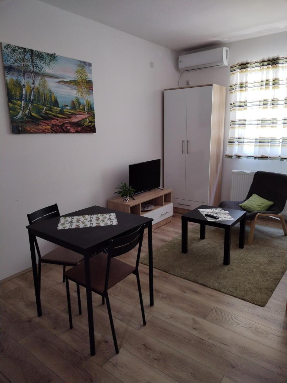 V & V Studio Apartments Ниш Номер фото