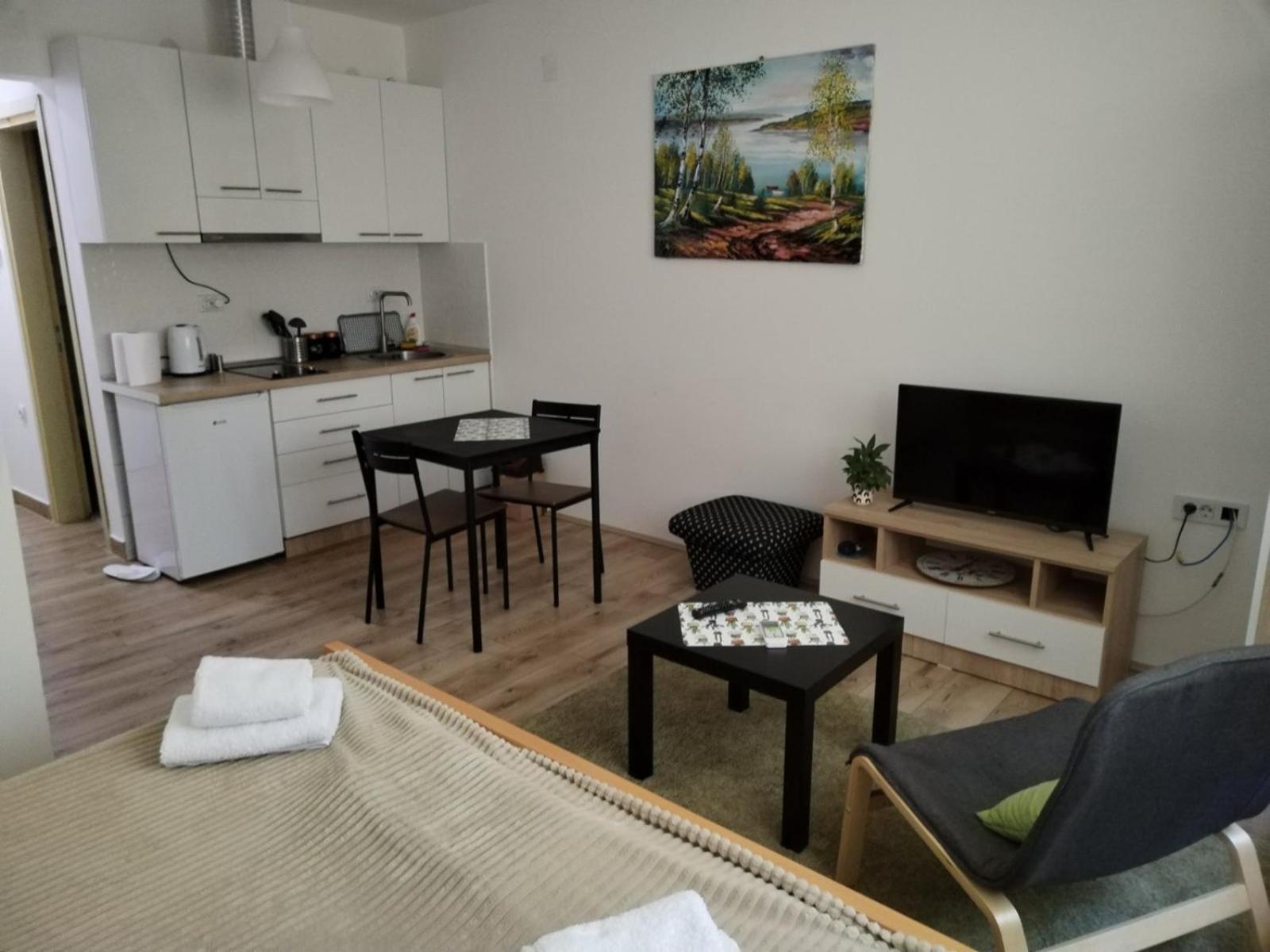 V & V Studio Apartments Ниш Номер фото